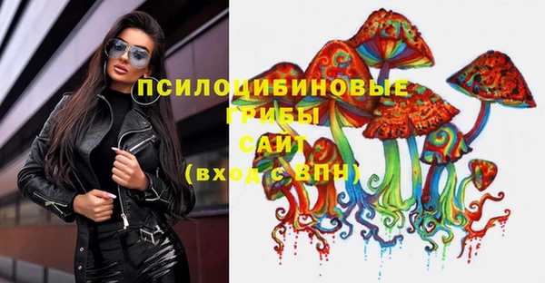 стафф Армянск