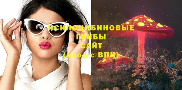стафф Армянск