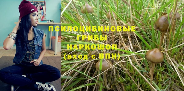 стафф Армянск