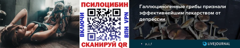 площадка состав  Нижний Ломов  Псилоцибиновые грибы Magic Shrooms 